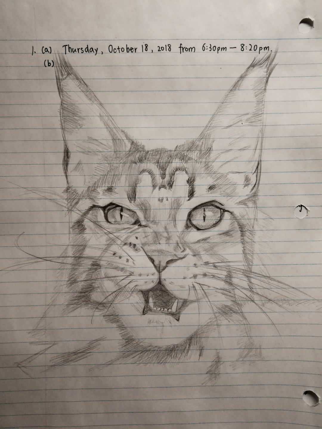 Drawing